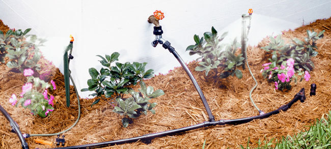 Bubbler Irrigation Services