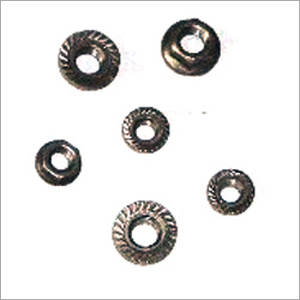 Hexagonal Flange Nuts