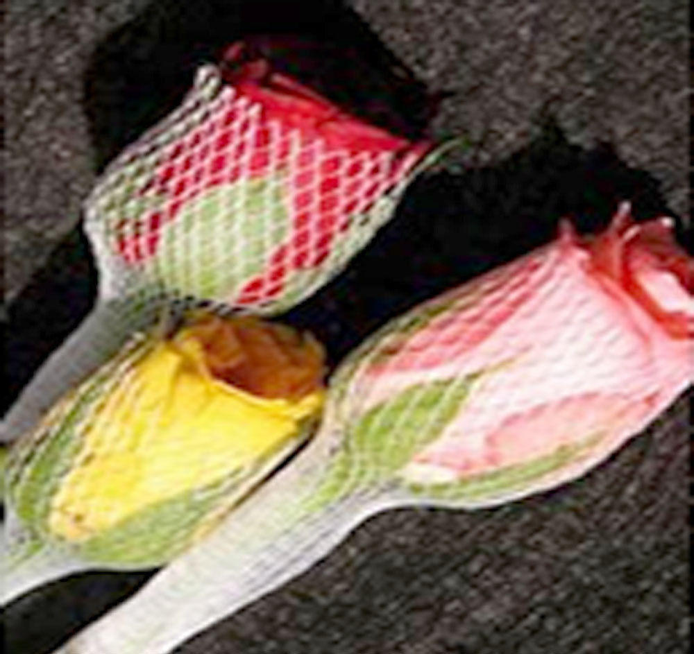 Bud Net Or Rose Packing Net