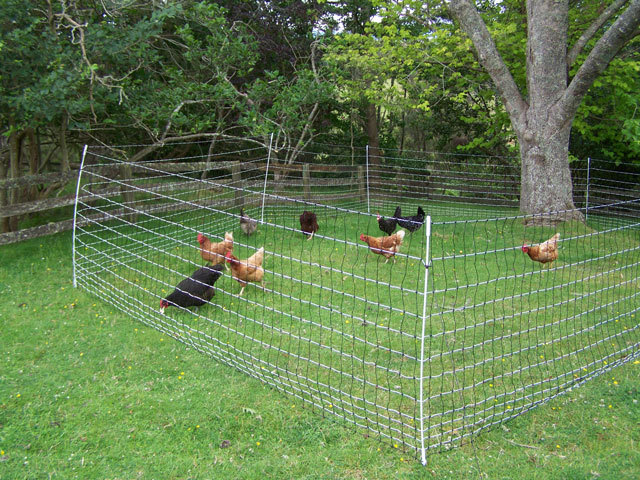 Poultry Net