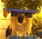 Pot Based System - Plastic Frame with 3.2mm PC Sheet Cover | Small Greenhouse for Optimal Plant Growth