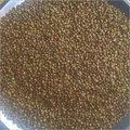 Dehydrated Coriander Seeds