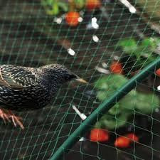 Anti Bird Net - HDPE Mesh, Oval Holes | High Durability, Fine Finish, Easy to Use, Ensures Sunlight and Rainwater Passage