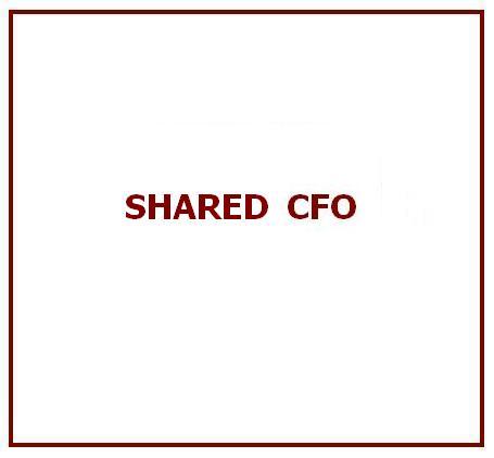 शेयर किए गए Cfo