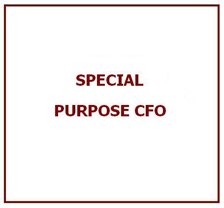 विशेष उद्देश्य CFO