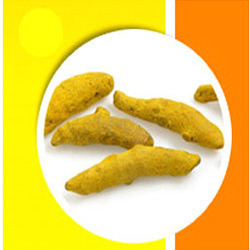 हल्दी की अंगुली