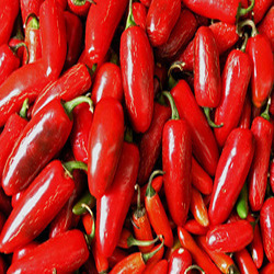 लाल मिर्च