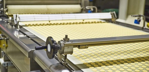 Biscuit Manufacturing Consultancy