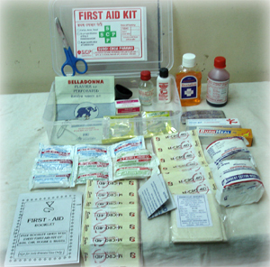 First Aid Kit - Plastic or Stainless Steel Box, A Type for Up to 10 Persons, B Type for 10-50 Persons, C Type for Over 50 Persons, Customizable Options