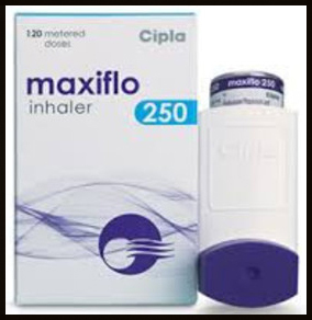 Maxiflo General Medicines