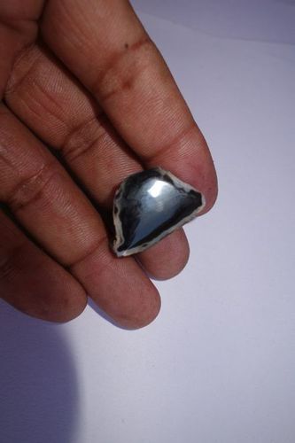 ब्लैक एंड ब्राउन ड्रुज़ी