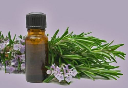 नीलगिरी का तेल