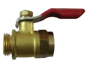 Golden And  Red Sprayer Cock