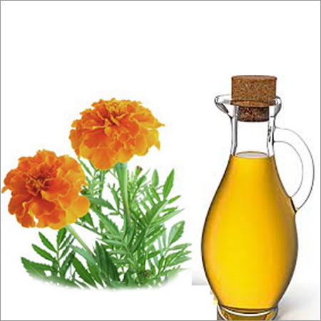 Tagetes Oil - 100% Pure Yellow Liquid Extract | Natural and Unisex, Steam Distilled from Tagetes Flowers, Herbaceous Floral Odour, Versatile Solubility