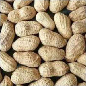 Raw Groundnuts