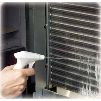 अलस्टाशाइन