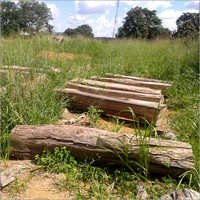 टेके की लकड़ी के तख्ते