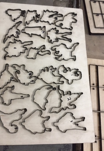 SPECIAL SHAPE PUZZLE