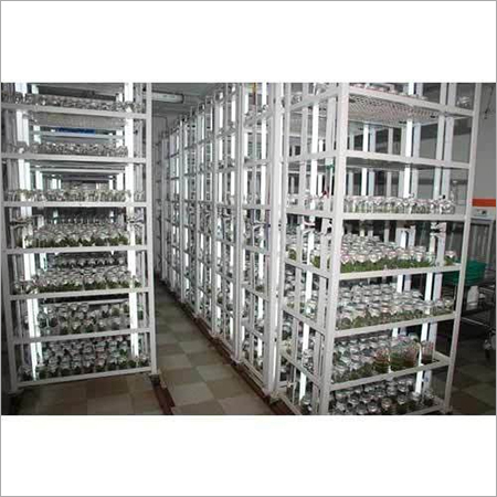 Laboratory Rack