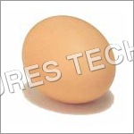 चिकन अंडे