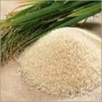 शरबती नॉन बासमती चावल