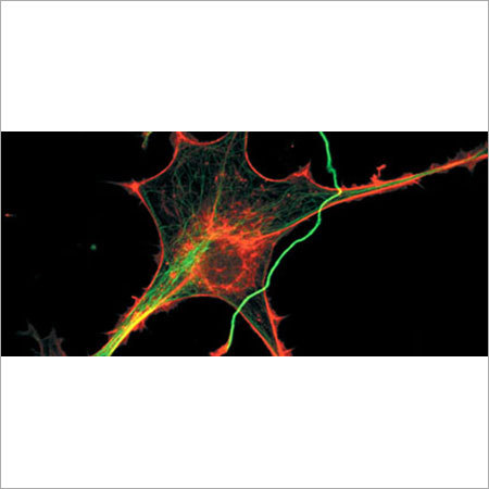 Protein Labeling Kit Application: Industrial
