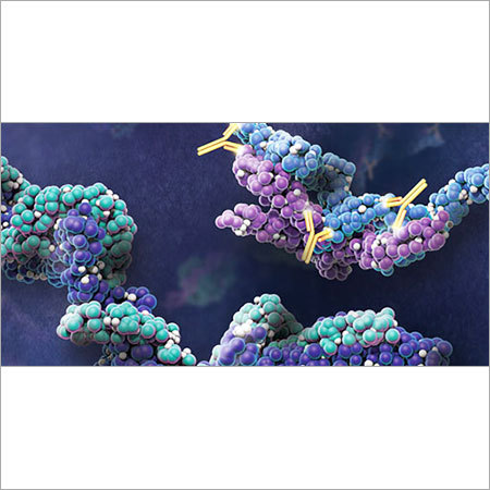 Protein Expression Kit Chemical Name: Electrolyte