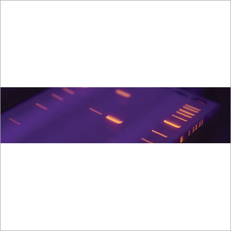 Dna Marker Kit Grade: Testing