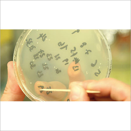 Molecular Cloning Tools Grade: Chemical