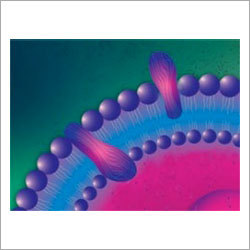 Cell Lysis & Protein Extraction Kit - High Purity Electrolyte Reagent, Violet Color with Irregular Shape, pH Level 8, 1-Year Shelf Life