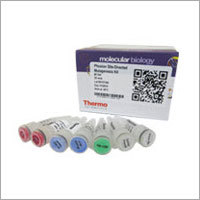 Phusion Site Directed Mutagenesis Kit Grade: Chmeical
