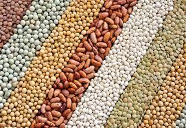 food grains