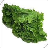 पालक का पत्ता