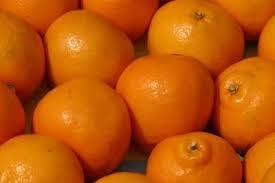 Orange Fruits