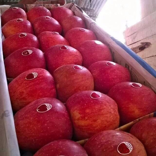 लाल स्वादिष्ट सेब