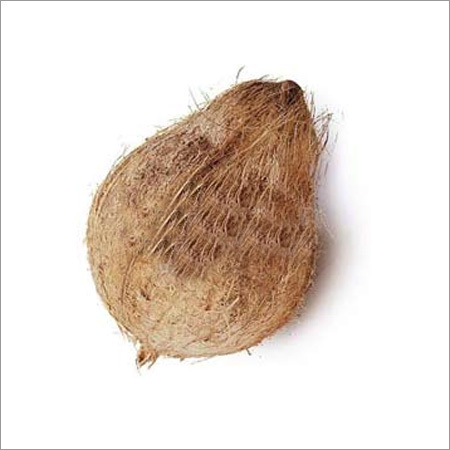 सेमी हस्क्ड नारियल
