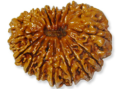 18 मुखी रुद्राक्ष