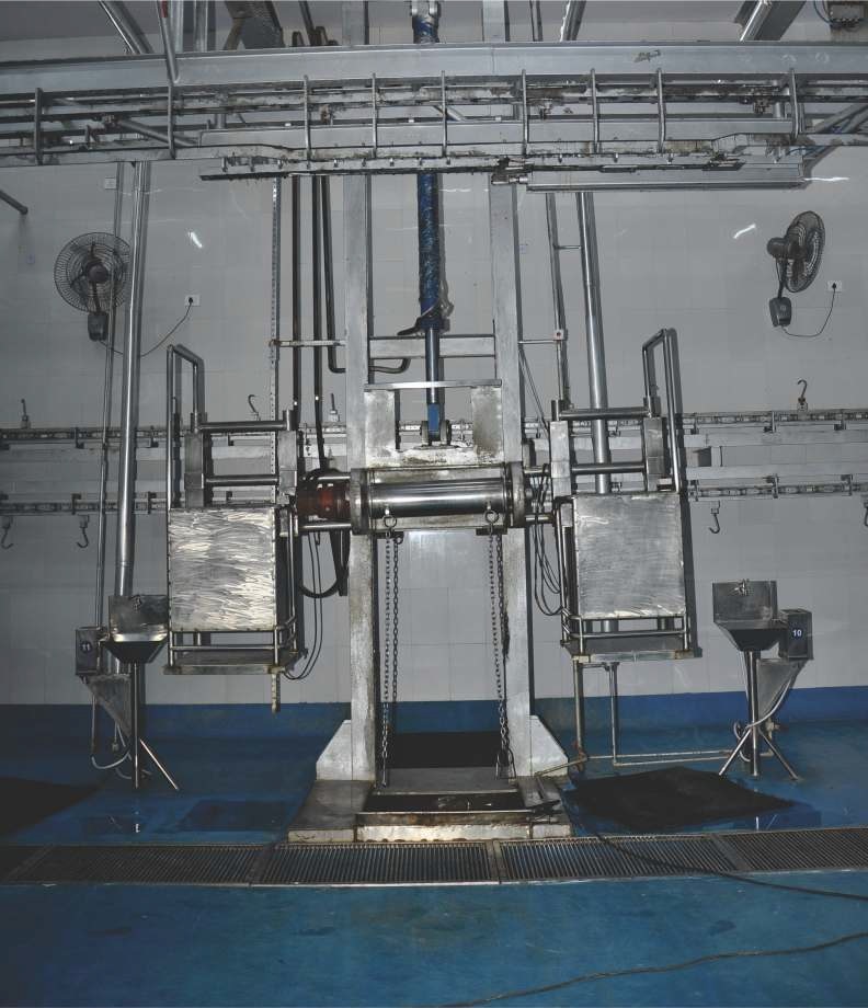 Dehiding System - Automatic Grade: Semi-automatic