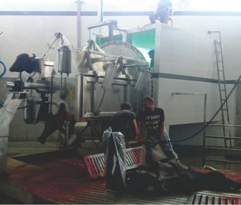 Mild Steel Single Ritual Halal Box