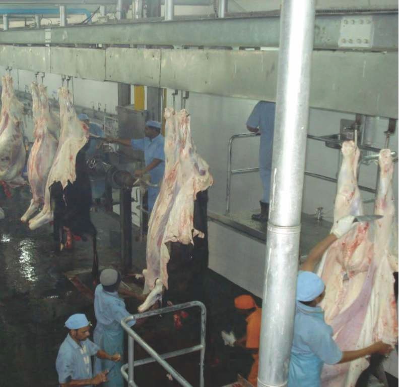 Carcass Dressing Line - Stainless Steel 1000x600x500 Mm 1000 Kg | Semi-automatic System With Advanced Sensor Control Minimal Noise Operation Long Service Life