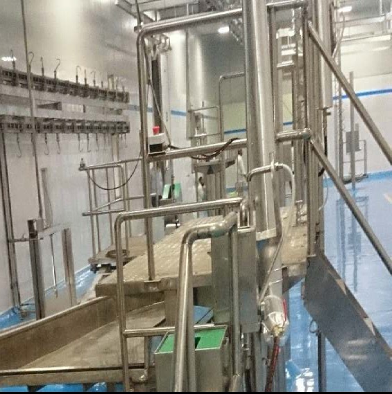 Head And Red Offal - Automatic Grade: Semi-automatic