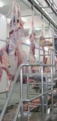 ट्रिमिंग और धुलाई प्लेटफार्म