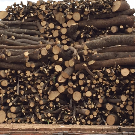 Neem Wood