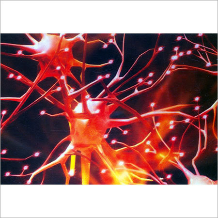 Exnerve