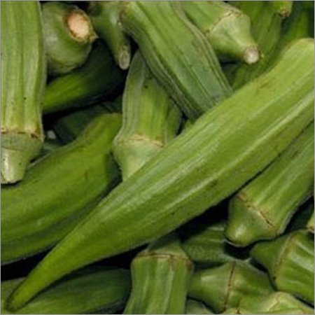 Hybrid Okra Seeds