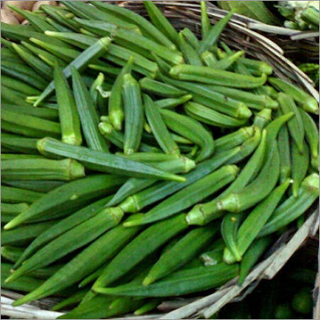 Non Hybrid Okra Seeds