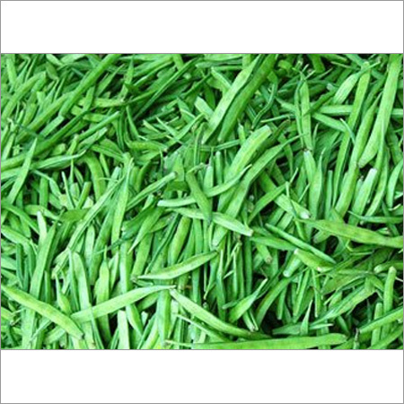 Organic Cluster Bean Seeds