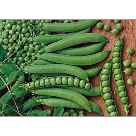Green Arrow Pea Seeds