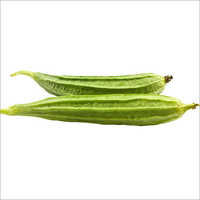 Ridge Gourd