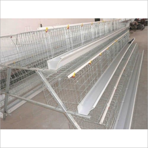 Automatic Poultry Feeder